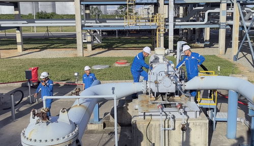 直通國家管網 廣東石化成品油管輸正式啟運，譜寫能源輸送新篇章